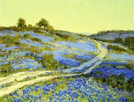 Bluebonnets, nel tardo pomeriggio