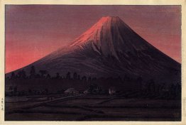 Fuji vicino Tamaho (variante rosa)