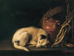 Un Cane Dormire con pentola di terracotta