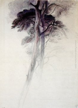 Studio di alberi da Turner