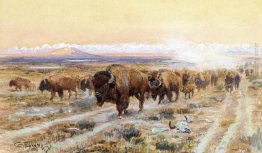 Il sentiero Bison