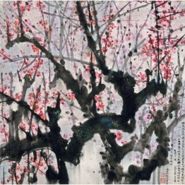 Plum Blossoms