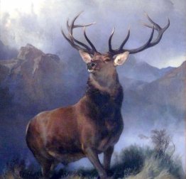 Il Monarch of the Glen