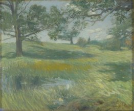 Meadows