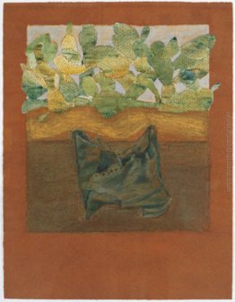 Untitled (piante di cactus in background)