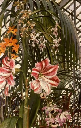 Orchidee, gigli, Palms