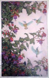 Colibrì e fucsia