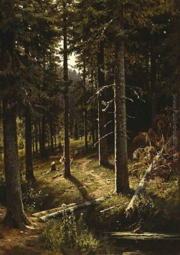 Forest Landscape