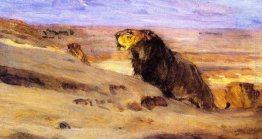 Lions nel deserto