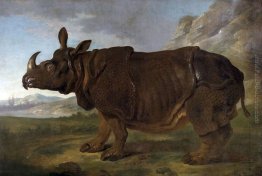 Clara il rinoceronte