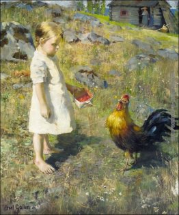 La ragazza e il gallo