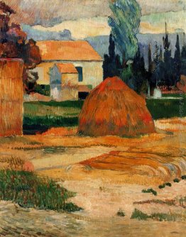 Paesaggio nei pressi di Arles