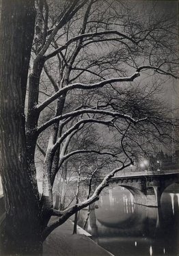 Les arbres des quais avec le Pont-Neuf