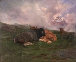 Bestiame a riposo su una collina nelle Alpi 1885