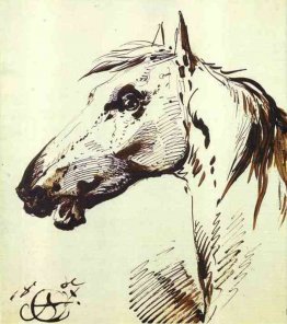 Testa di cavallo