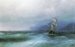 Navigando nel mare