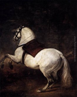 Un cavallo bianco