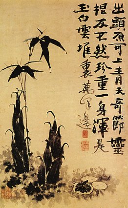 Germogli di bambù
