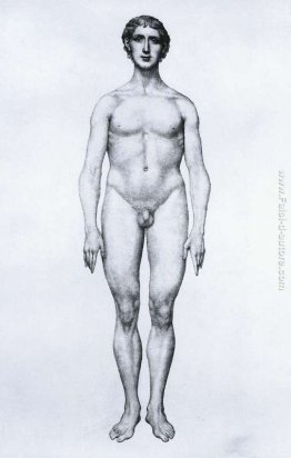 Studio della figura umana, vista anteriore, da 'A anatomica Espo