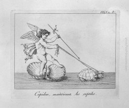Cupido e le tartarughe