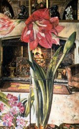 Amaryllis in Chauntry Court