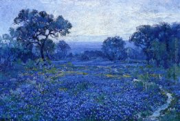 Scene Bluebonnet