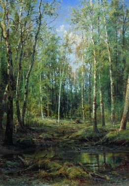 Birch Grove