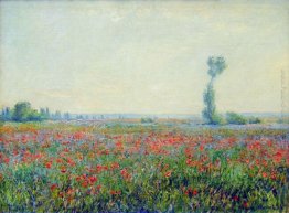 Poppy Field