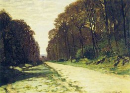 Strada in una foresta di Fontainebleau