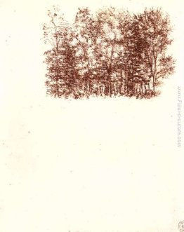 Birch bosco ceduo