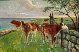 Bestiame vicino a un cancello, Saltholm