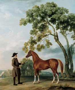 Arabian Stallion di Lord Grosvenor con un Groom