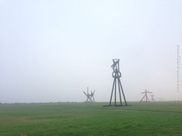 Crissy Field