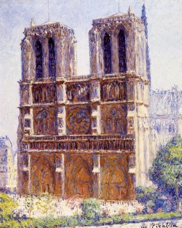 Notre Dame, il effetto della luce solare