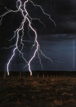 The Lightning Field