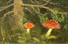 Toadstools sotto l'Albero