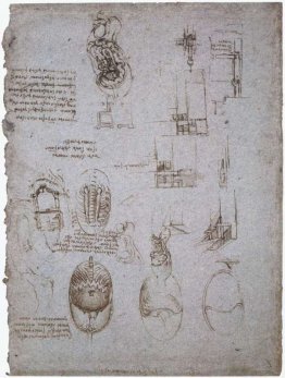 Studi di Villa Melzi e studio anatomico