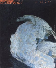 Cigno