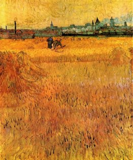 Arles Vista da campi di grano