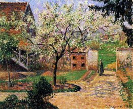 Fioritura Plum Tree, Eragny