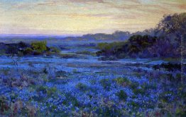 Scene Bluebonnet