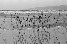 Capelli e fili, Venice Beach