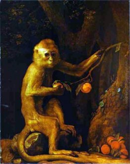 Ritratto di una scimmia