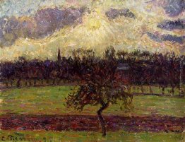 I Campi di Eragny, Apple Tree