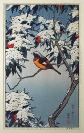 Birds of the Seasons - Inverno