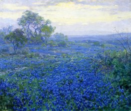 Una giornata nuvolosa, Bluebonnets vicino a San Antonio, Texas