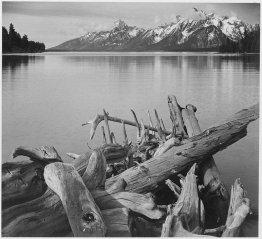 Grand Teton National Park, nel Wyoming