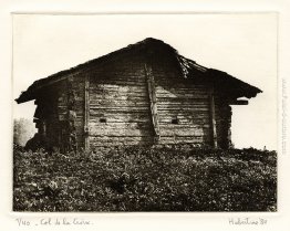 Capannone a passo alpino Col de la Croix, cantone Vaud Svizzera