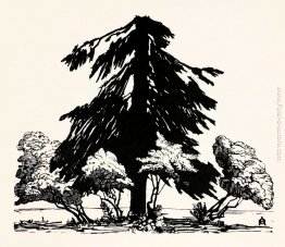 albero di pino