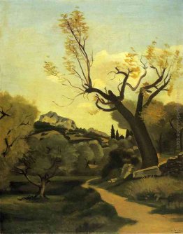 La strada e l'albero